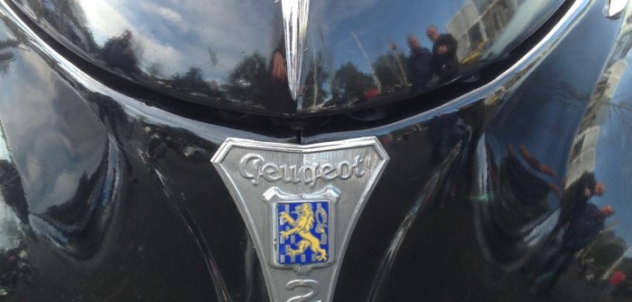Peugeot 203 calandre