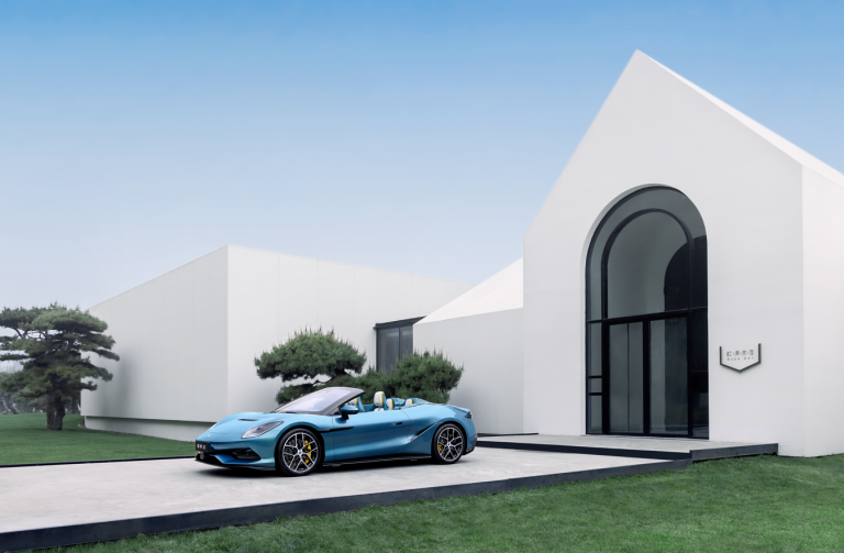 Denza Z Cabriolet Elégance sculpturale