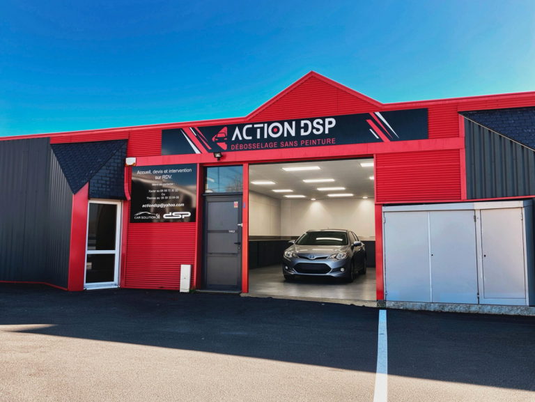 ACTION DSP 56, nouvelle identité, même expertise